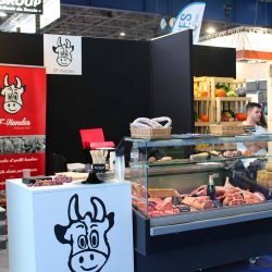 SALON_DAUPHINOIS_ALPEXPO_11