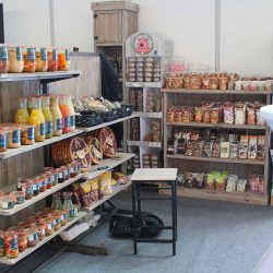 SALON_DAUPHINOIS_ALPEXPO_12