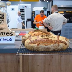 SALON_DAUPHINOIS_ALPEXPO_2