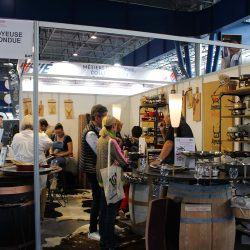 SALON_DAUPHINOIS_ALPEXPO_4