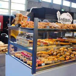 SALON_DAUPHINOIS_ALPEXPO_7